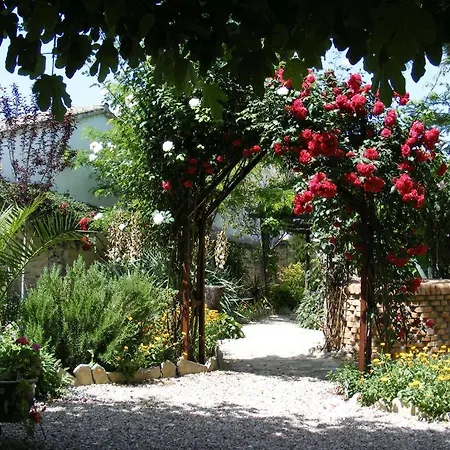 Cortijo Abedules